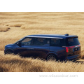 Pure Electric MPV Zeeker 009 Blue